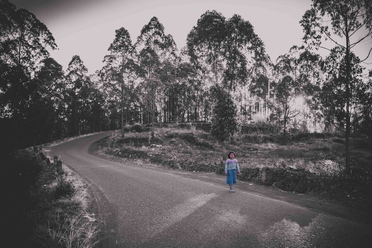 Black-and-white photo of a person walking along a winding road through tall trees